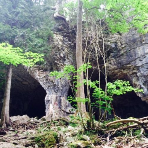 bruce-caves-wiarton