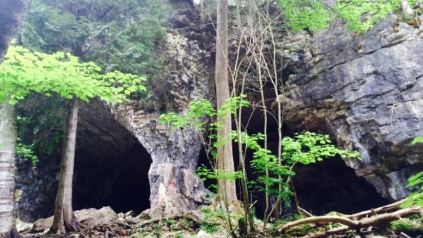 bruce-caves-wiarton